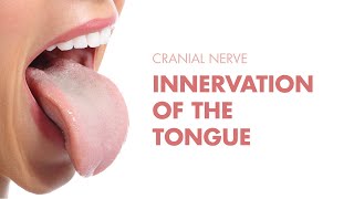 Innervation of the Tongue  Cranial Nerves  MEDZCOOL [upl. by Laurentium823]