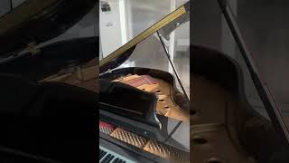 Piano de cola Chickering con sistema de pianola por bluetooth [upl. by Nirual]