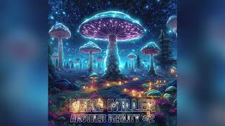 Mike Miller  Another Reality 2 trance goa psytrance [upl. by Senskell]