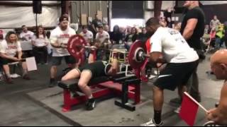 202 Bench Press Ellen Stein [upl. by Schober]