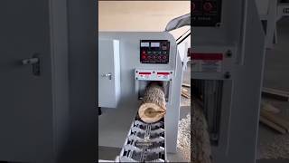 चाइना मे बडे बडे लकडी की सिल्ली को कैसे काटते है How to cut large wooden blocks in chi shortvideo [upl. by Slavic]