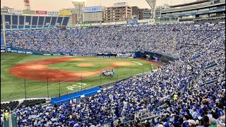 NPB KBO amp CPBL All Set Attendance Records in 2024 [upl. by Ludmilla654]