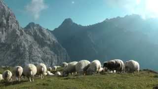 Alpenwelt Karwendel  Bergwandern und Klettern [upl. by Carilyn843]