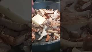 Fettuccine with Sautéed Wild Mushrooms in Butter and Milk mushrooms cooking [upl. by Telrahc914]