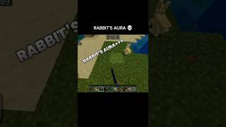 RABBITS AURA  💀  shortsfeed minecraft [upl. by Ailemak]