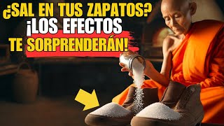 OBSERVA LO QUE SUCEDE AL PONER SAL EN TUS ZAPATOS – Sabiduría Zen y Espiritualidad Budista [upl. by Kyre]