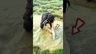 Catching catfish under the water 💦😳 Fishing tools item amp Terrible Events shortvideo shorts [upl. by Alistair]