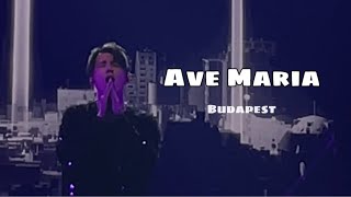 Dimash  Ave Maria  Budapest [upl. by Hutchison845]