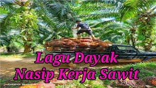 Lagu Dayak Yang Lagi Viral quotNasip Kerja Sawitquot [upl. by Eimar]