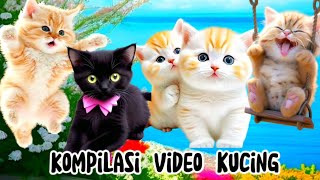 Anak Kucing Meong Meong  Animasi Kucing Lucu  Lagu Anak Populer [upl. by Eversole]