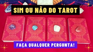 SIM OU NÃO DO TAROT  Conselho  ARIELA TAROT E ORÁCULOS [upl. by Ahen851]