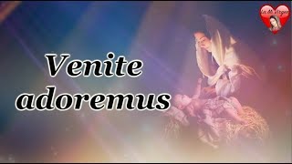 Venite Adoremus Canción con letras [upl. by Hnao]