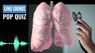 Name that Lung Sound Lung Sound Quiz  NCLEX REVIEW [upl. by Aluino]