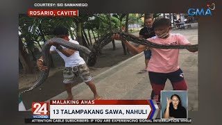 24 Oras 13 talampakang sawa nahuli [upl. by Carrelli]