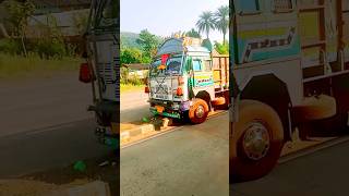 Truck Driver Ne Nind Mein divider per chadhai gadi shorts youtubeshorts [upl. by Roosnam]