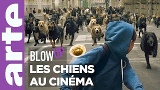 Les Chiens au cinéma  Blow Up  ARTE [upl. by Nemsaj]