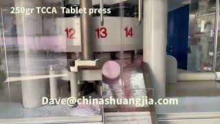 250gr Large Anticorrosive Double Layer Tablet Press [upl. by Vickie209]