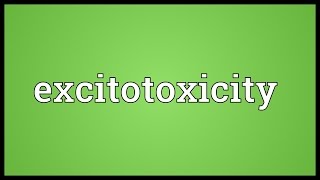 Excitotoxicity Meaning [upl. by Aenaj]