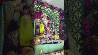 Ganpati Bappa Moriya 🙏 youtubeshorts ganeshchaturthi ganpatibappamorya pjdivya [upl. by Danelle154]