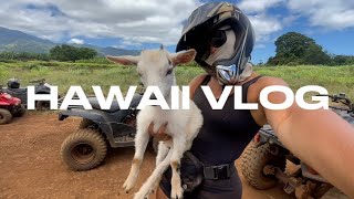 HAWAII VLOG🌴 [upl. by Tyrus]