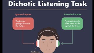 Dichotic Listening linguistics shortvideo learning [upl. by Esinahs368]