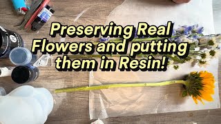 32 How to preserve flowers to put in resin [upl. by Youngran257]