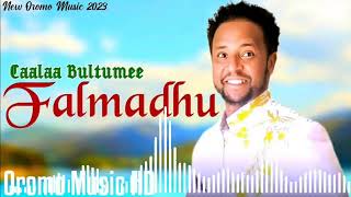 Caalaa Bultumee quotFalmadhuquot New ethiopian oromo music 2024 [upl. by Kremer]