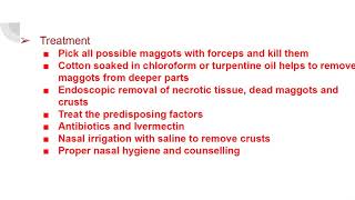 Nasal Myiasis Maggots in nose [upl. by Soirtemed174]