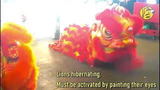 Lion Dance Rituals Explained Eye Painting amp Other Symbolism [upl. by Annaul]