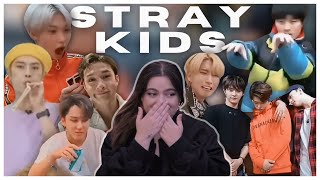 Okay theyre great  Stray Kids Funny Moments REACTION [upl. by Crissie]