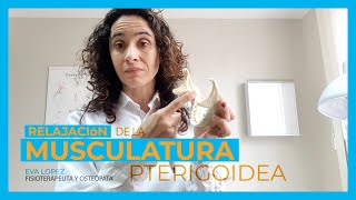 Relajación de la Musculatura Pterigoidea · Salvum Clinic [upl. by Hospers]