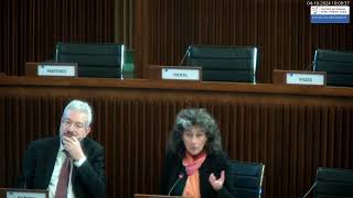 Intervento in III commissione su Legge di assestamento 04102024 [upl. by Adne796]