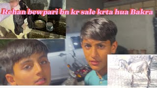 Rehan bewpari bn kr Bakra sale krta hua rehan youtube familyvlogs pakistan [upl. by Mowbray760]