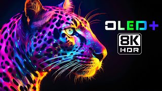 OLED TEST  Outstanding Quality in 8K HDR  Dolby Vision™ [upl. by Slade304]