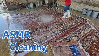 Carpet cleaning satisfying compilation  Hardest work ASMR [upl. by Pedro]