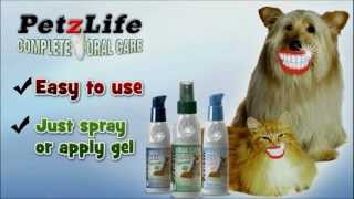 PetzLife Complete Oral Care Removes Plaque amp Tartar Reverses Gum Disease and Freshens Breath [upl. by Lesig]