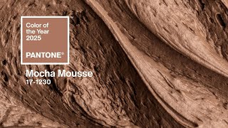 2025 Pantone Color of the Year MOCHA MOUSSE [upl. by Yrneh]