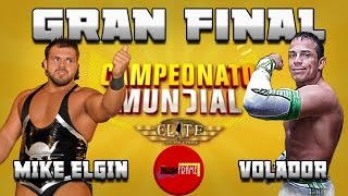 VOLADOR Jr VS MIKE ELGIN GRAN FINAL CAMPEONATO MUNDIAL ELITE 2016 [upl. by Jemine568]