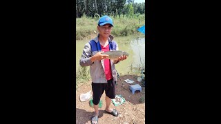 A day of thrilling fishing in the wild stream of Thao Fishing [upl. by Kcarb]