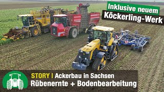 Agrarbetrieb SaatGut Plaußig Teil 4 Rübenernte  John Deere 8RX  Köckerling Vector m Boxer [upl. by Sivla]