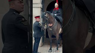 CORPORAL OF HORSE CALMS HORSE 💂🐎✨  Horse Guards Royal guard Kings Guard Horse London 2024 [upl. by Arremat]