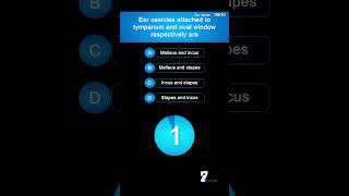 Ear ossicles attached to tympanum and oval window respectively are [upl. by Ag]