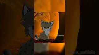 Iberian lynx😖 ib Musashiace animation shorts lynx [upl. by Babcock]