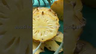 ANANAS UNE DOUCEUR ANTI INFLAMMATOIRE POUR LES SENIORS Ananas [upl. by Bernardi]