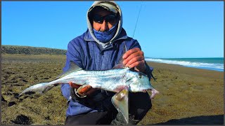 Pesca Variada con cañas Altas  1er Pez Gallo del 2023  Patagonia Argentina [upl. by Callas]