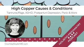 High Copper Causes amp Conditions [upl. by Thurston457]