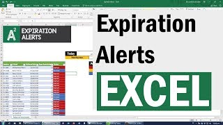 Excel Essentials  Level UP  Conditional Formatting for Due Dates and Expiration Dates [upl. by Pepin830]