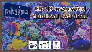 มือใหม่ ตู้ทะเล EP18 กระบอกรีมูฟ fluidized bed filter [upl. by Annauqaj322]