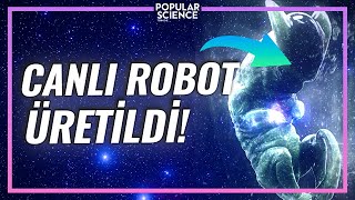 Canlı Robot Üretildi  XENOBOT Nedir  Popular Science Türkiye [upl. by Lenee]