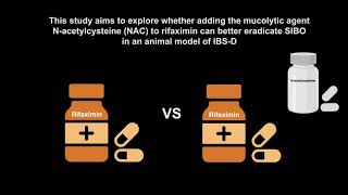 Low dose rifaximin with Nacetylcysteine is superior to rifaximin alone in a rat model of IBSD [upl. by Parsifal888]